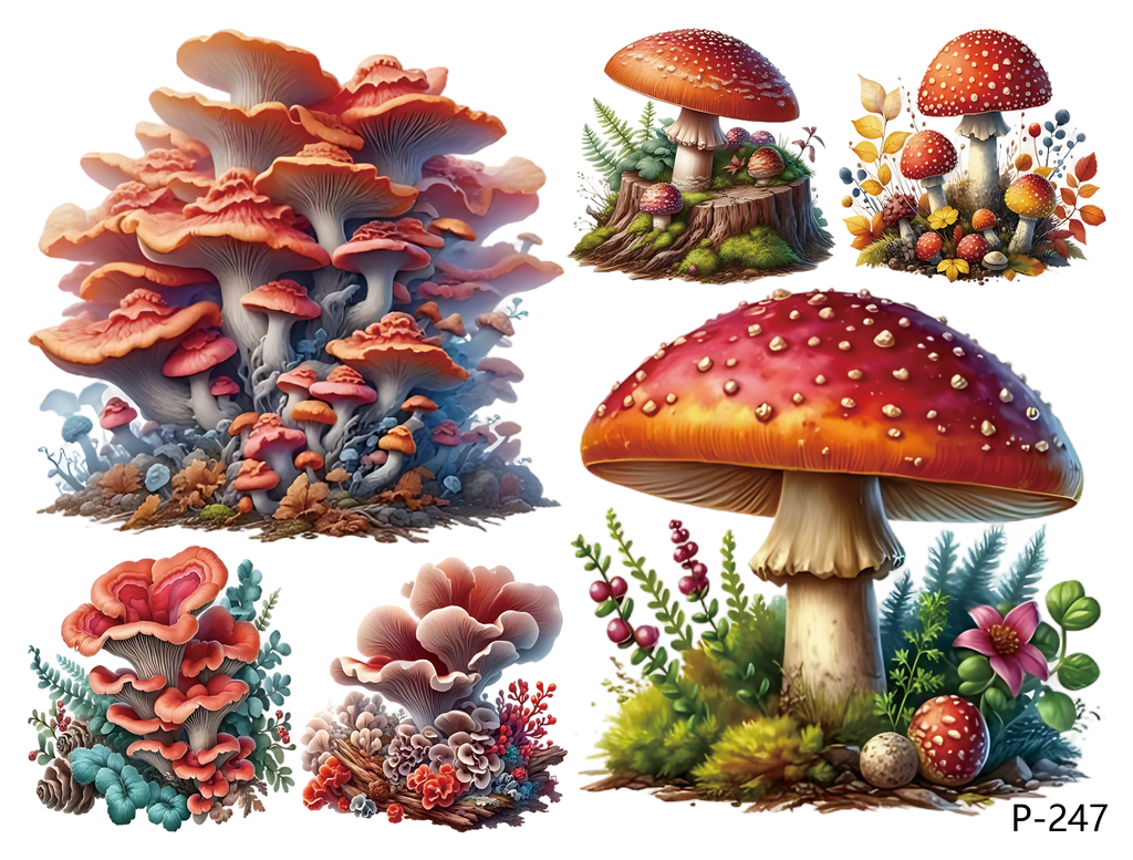 3D embossed stickers (B5 size, 12.5cm*9.5cm)